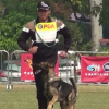 王座訓犬中心